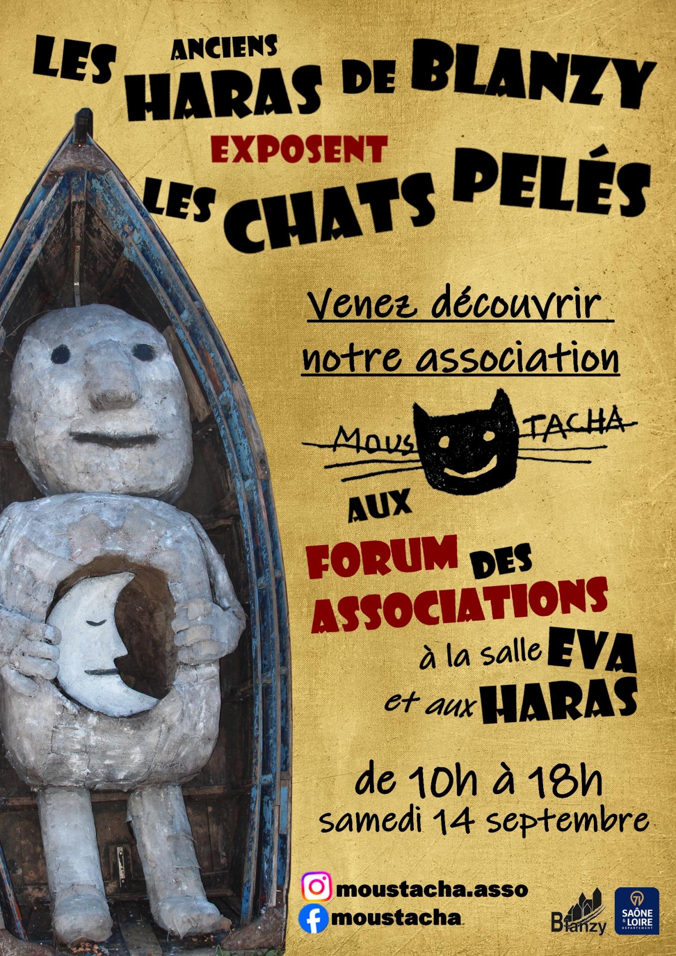 Les Haras Les Chats Pelés Blanzy septembre 2024 Forum associations